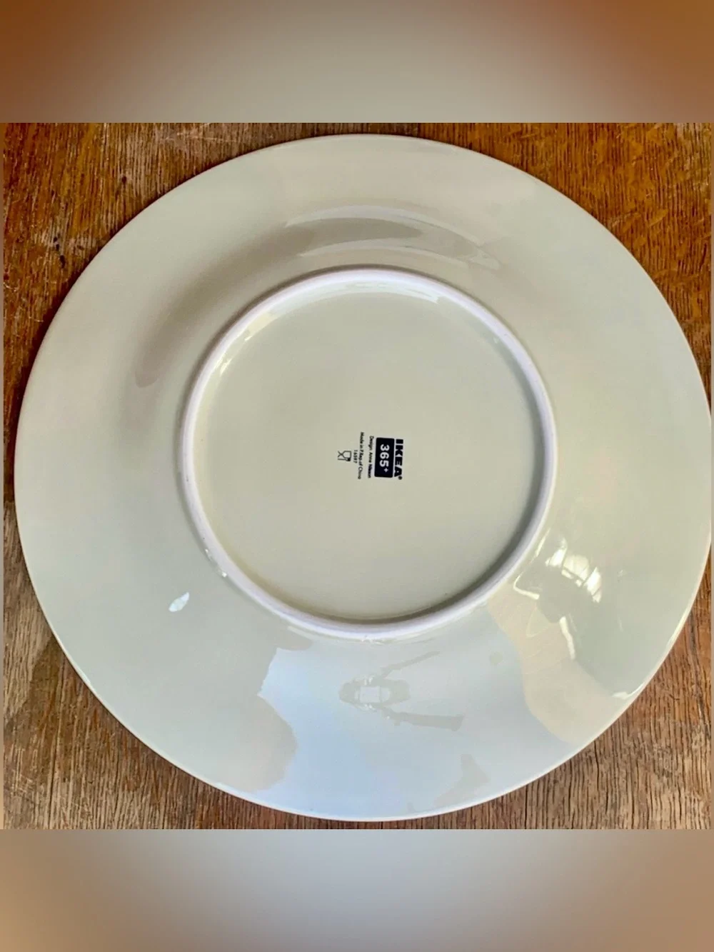Anna Nilsson IKEA 365 Beige Taupe Concentric Ringed 12.75” Plate